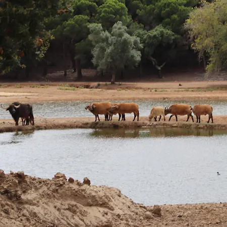 Badoca Safari Glamping Experience Luxuszelt Santo André