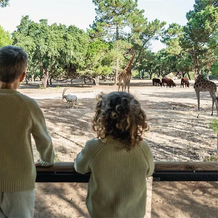 Badoca Safari Glamping Experience Luxussátor