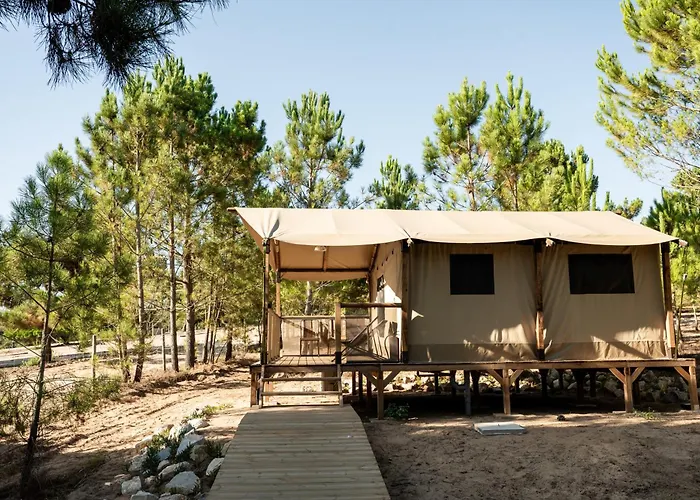 Badoca Safari Glamping Experience 럭셔리텐트 산투안드레